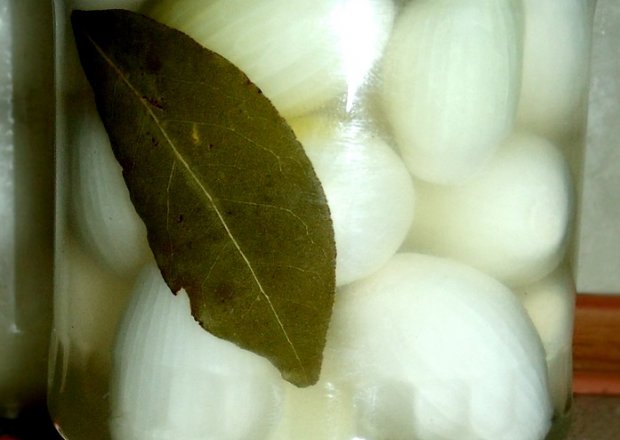 Fotografia przedstawiająca Marynowana zielona cebulka