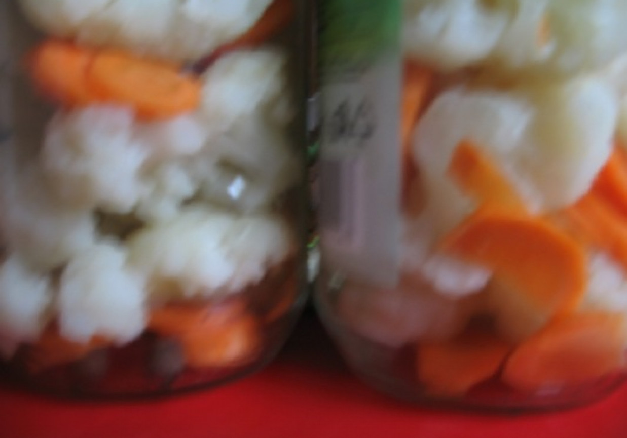 marynowany kalafior z marchewką foto