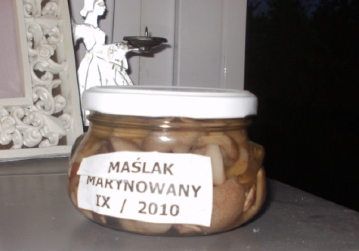 Maślak marynowany foto