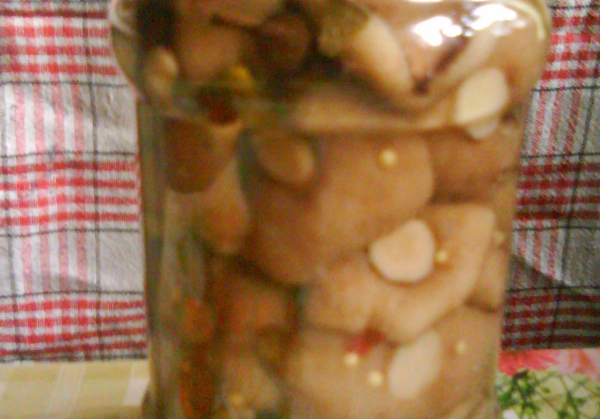 Maślaki marynowane foto