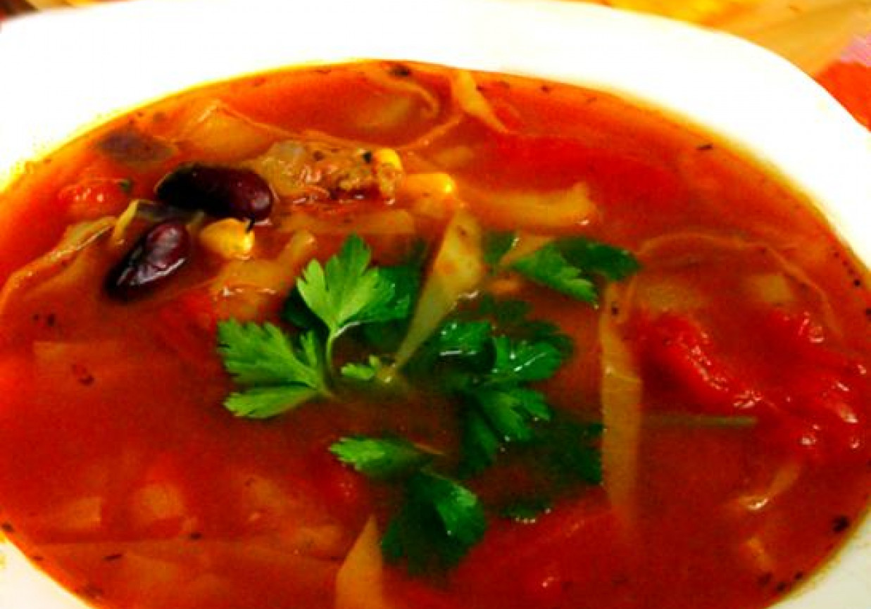 Meksykańska zupa jarzynowa foto