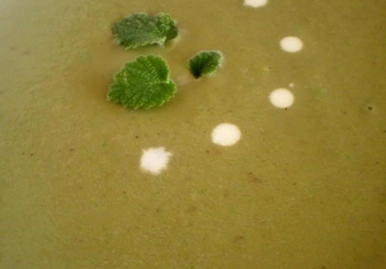 Meksykańska zupa z awokado foto