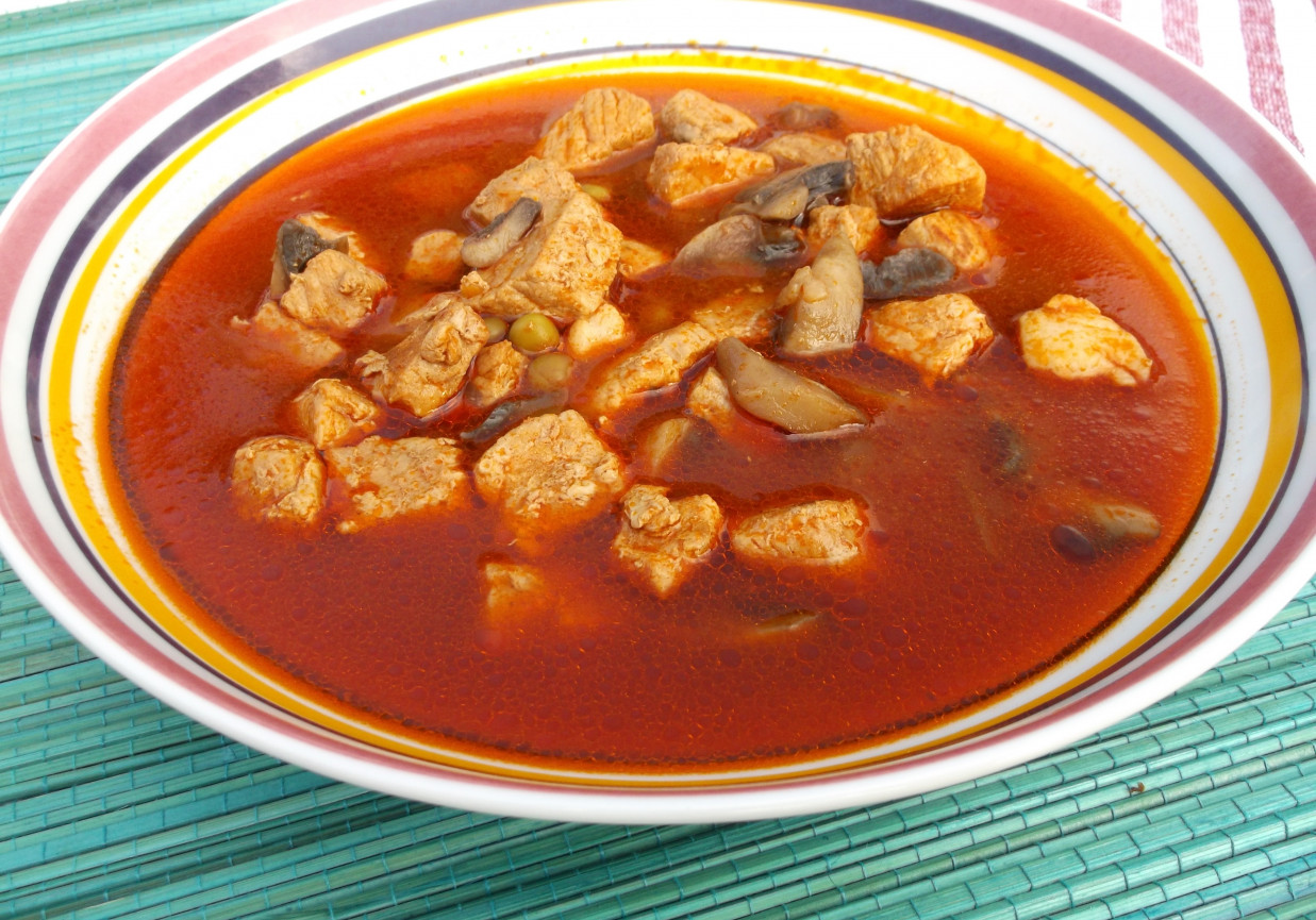 Mięsna zupa. foto