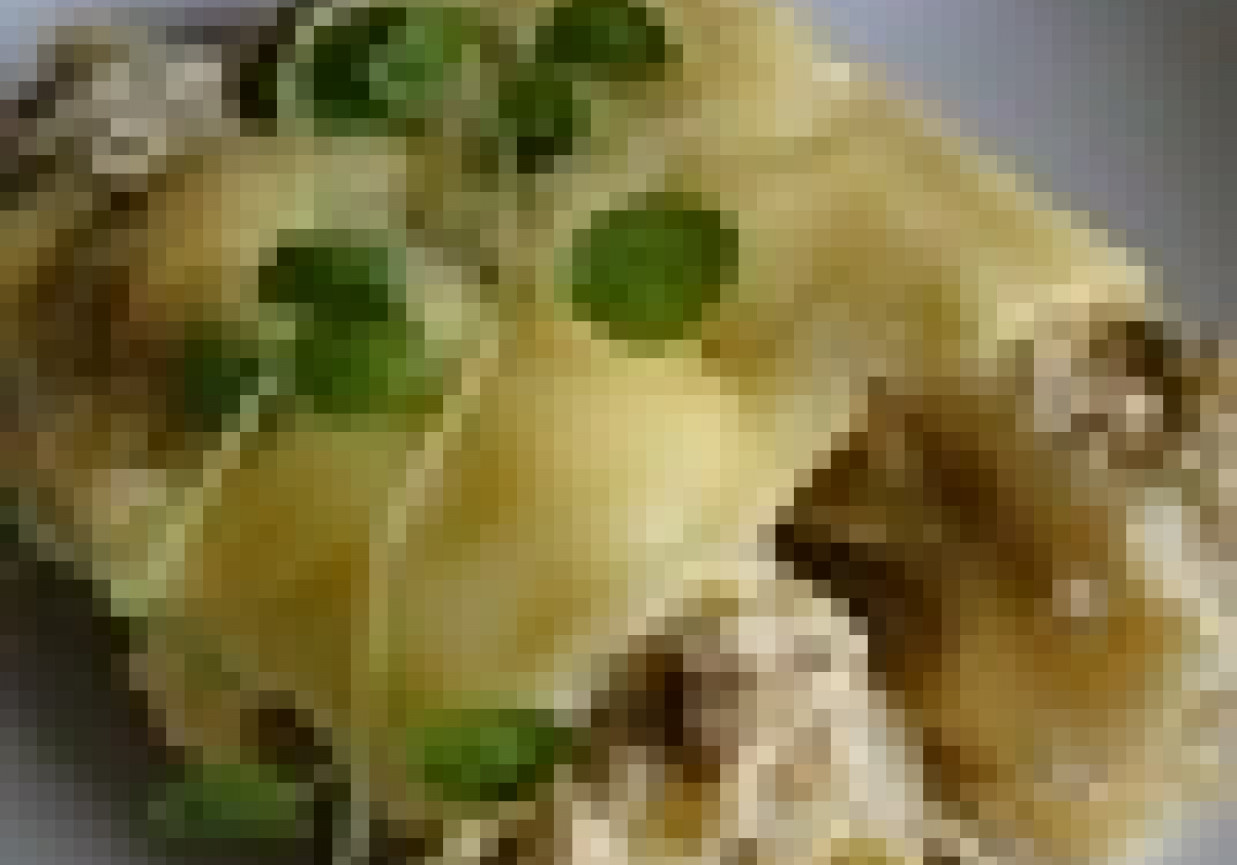 Mięso & spółka. Zapiekane cannelloni z mięsem