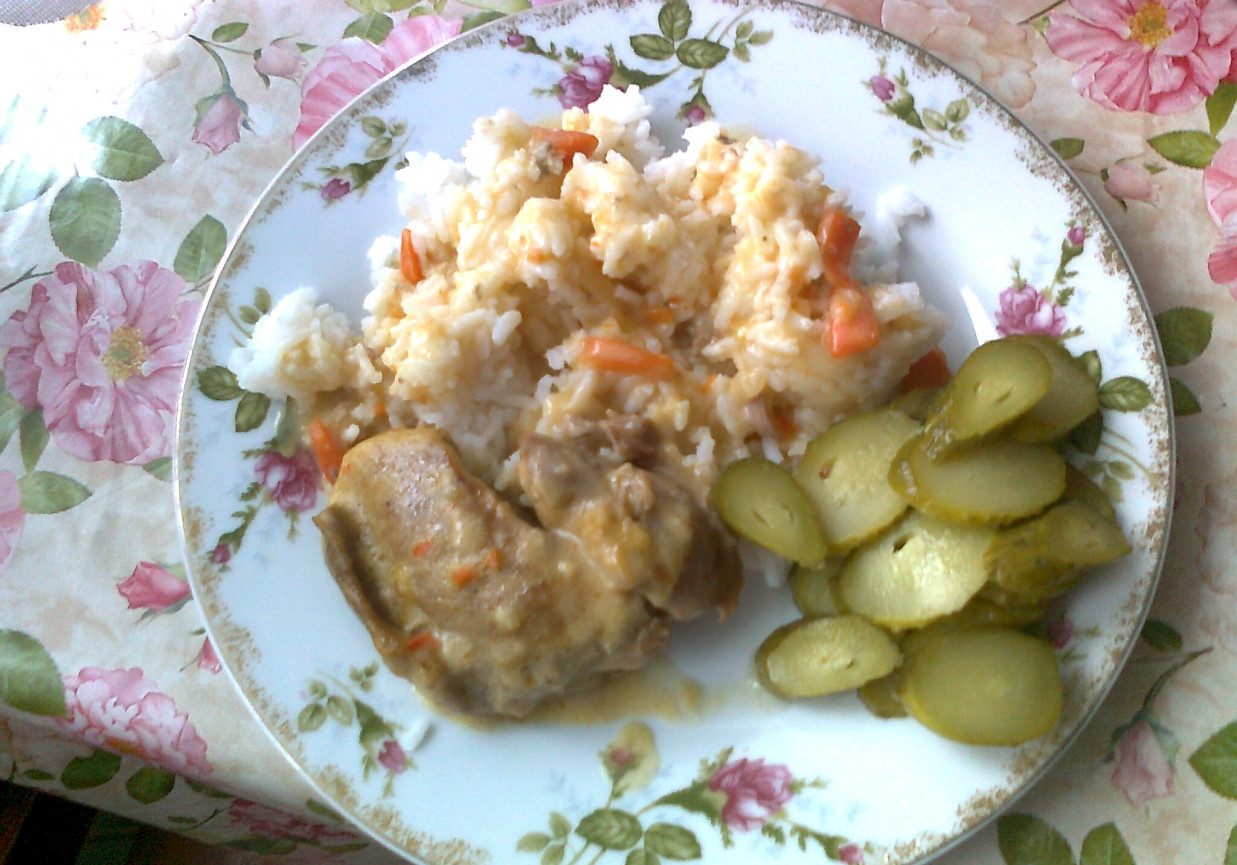 Mięso z sosem, ryżem i ogórkami foto