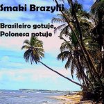 Polonesa i Brasileiro