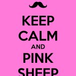 Pink Sheep