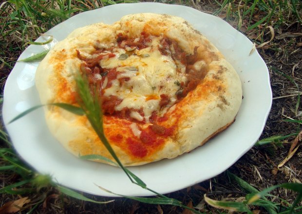 Fotografia przedstawiająca Mini,ala pizza