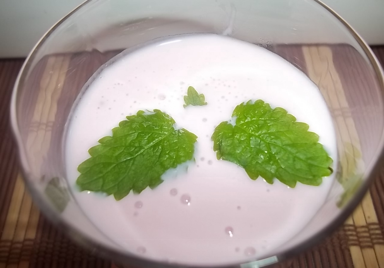 Mleczko malinowo-jogurtowe foto