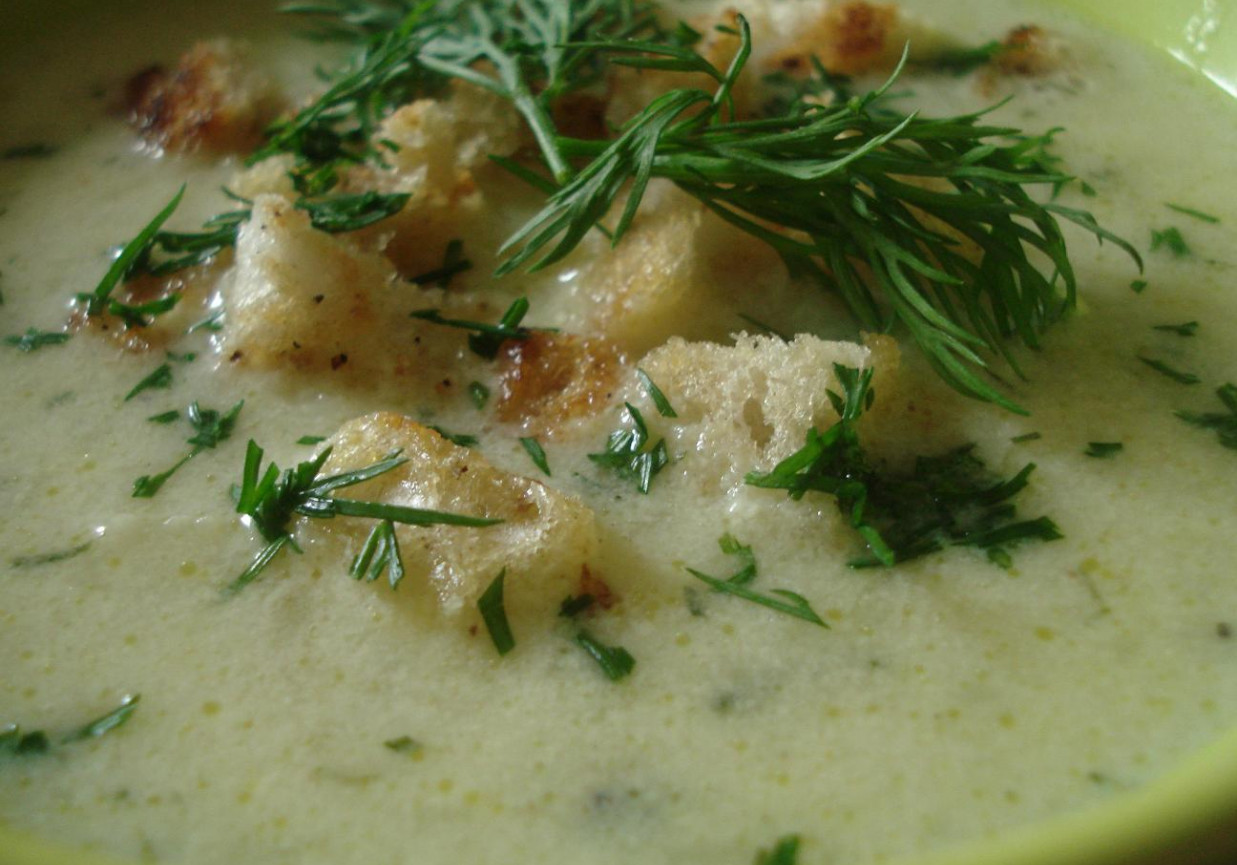 Mleczna zupa kalafiorowo- koperkowa foto