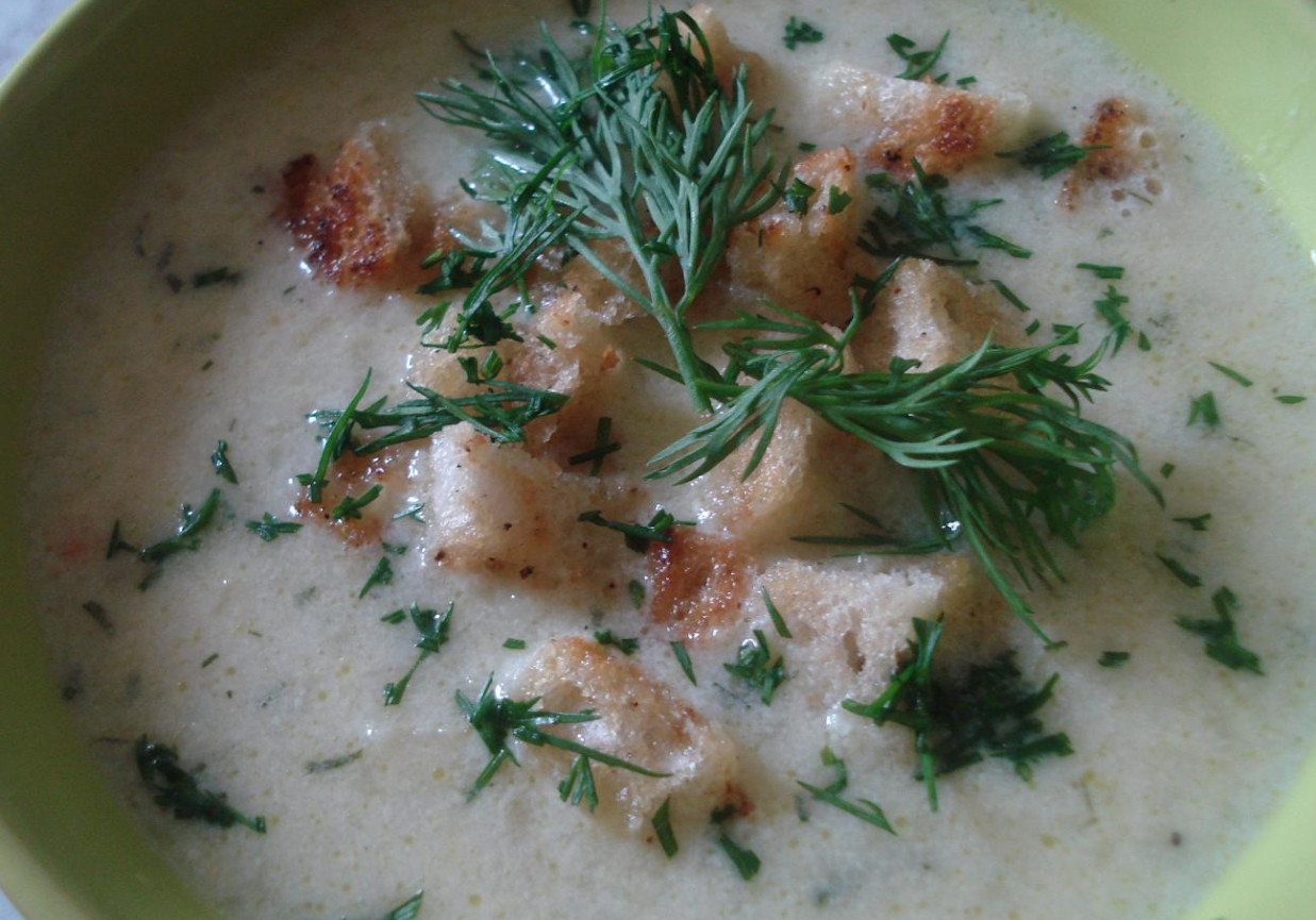 Mleczna zupa kalafiorowo- koperkowa foto