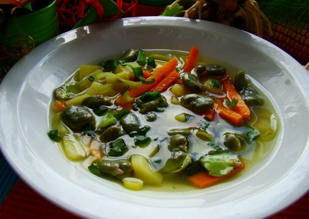 Fotografia przedstawiająca Młoda zupa z bobem