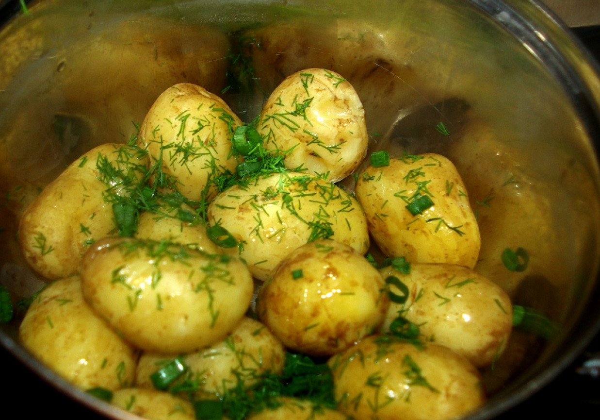 Młode ziemniaki z koperkiem foto