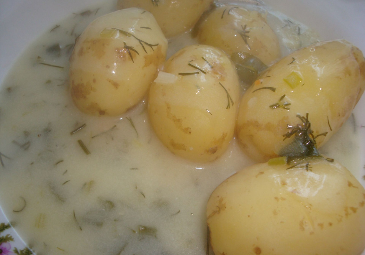 Młode ziemniaki z sosem z młodej cebuli, szczypiorku i kopru foto