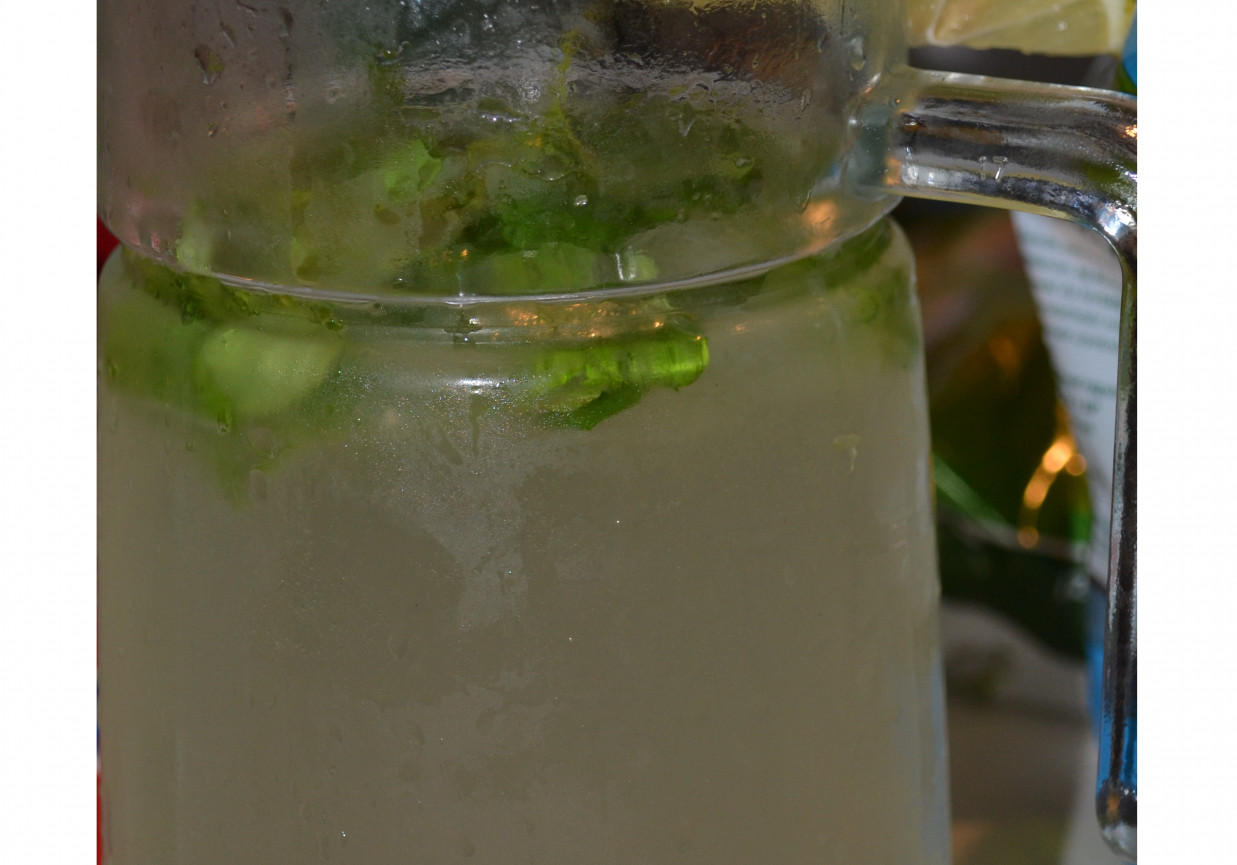 mohito foto