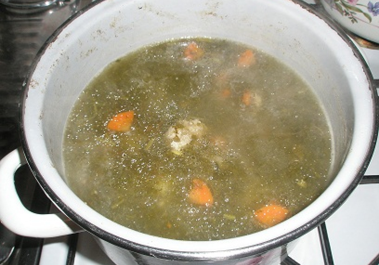 Moja zupa ze szczawiu foto