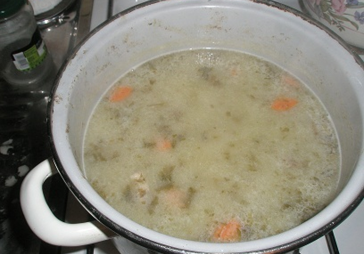 Moja zupa ze szczawiu foto