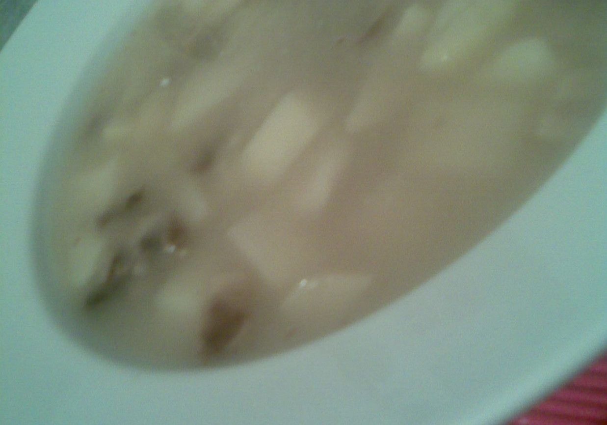Moja zupka pieczarkowa foto