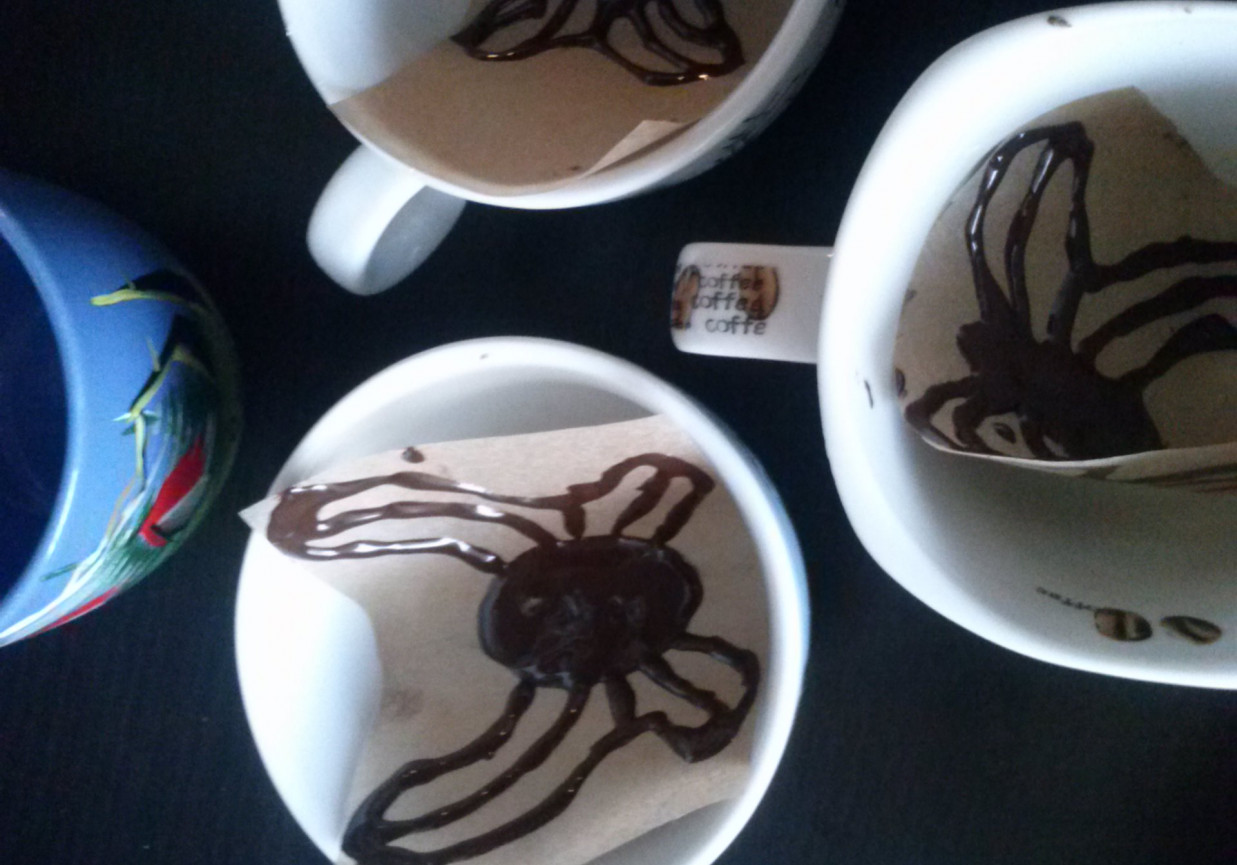 Motyle w czekoladzie foto