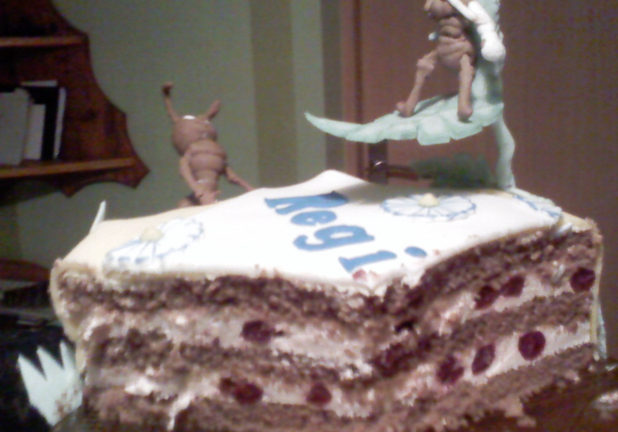 Mrówkowy tort foto