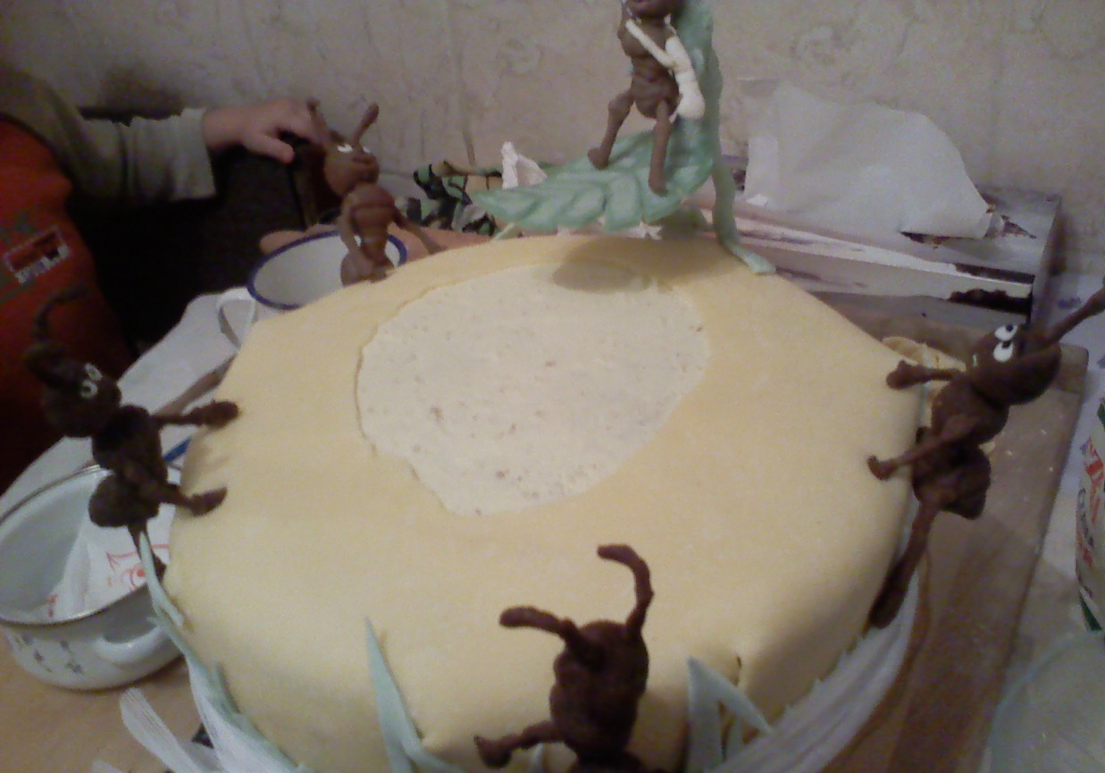 Mrówkowy tort foto
