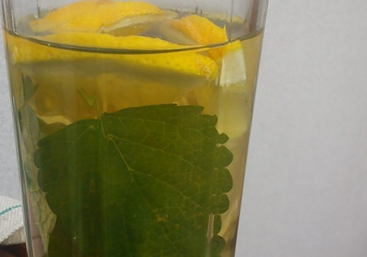 Mrozone szaleństwo foto