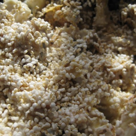 Krok 3 - muesli z bananem i śliwką foto