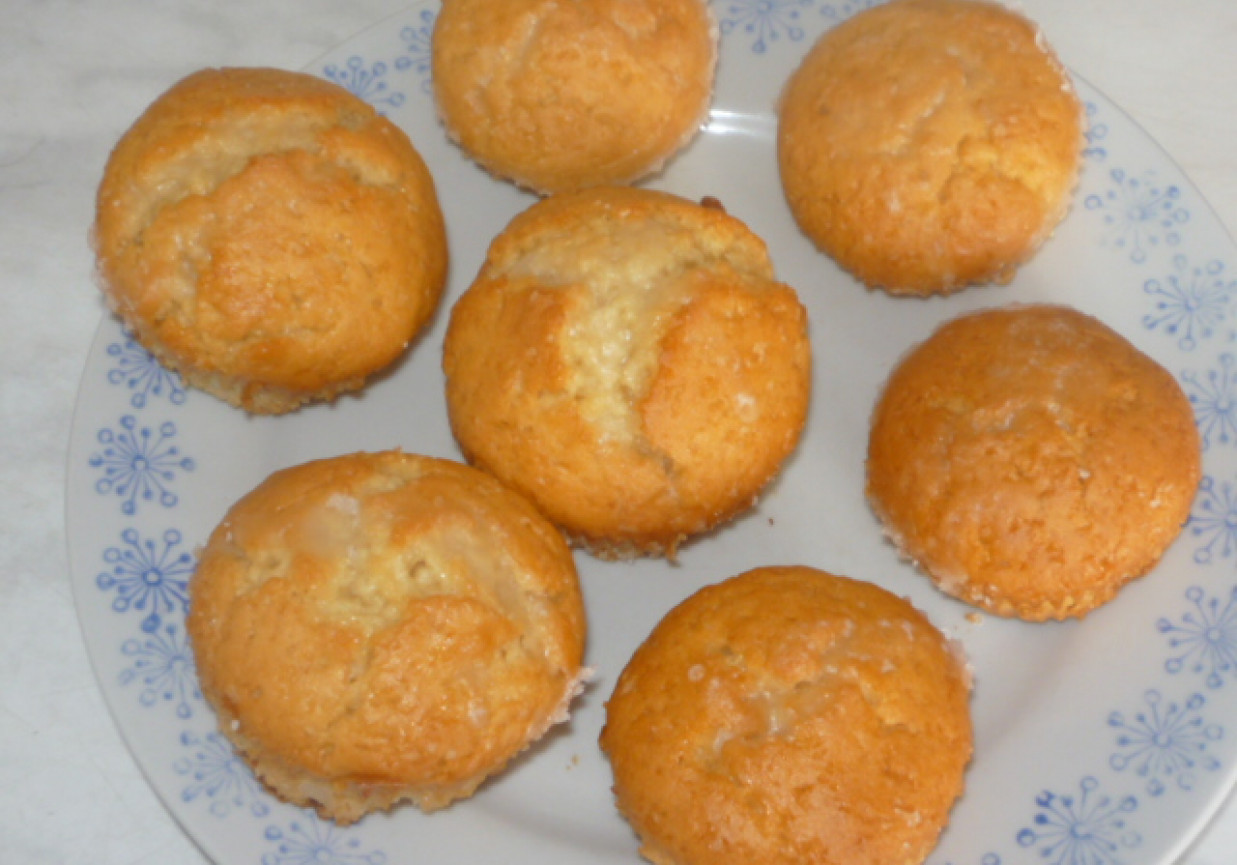 Muffinki cytrynowe Gosi foto