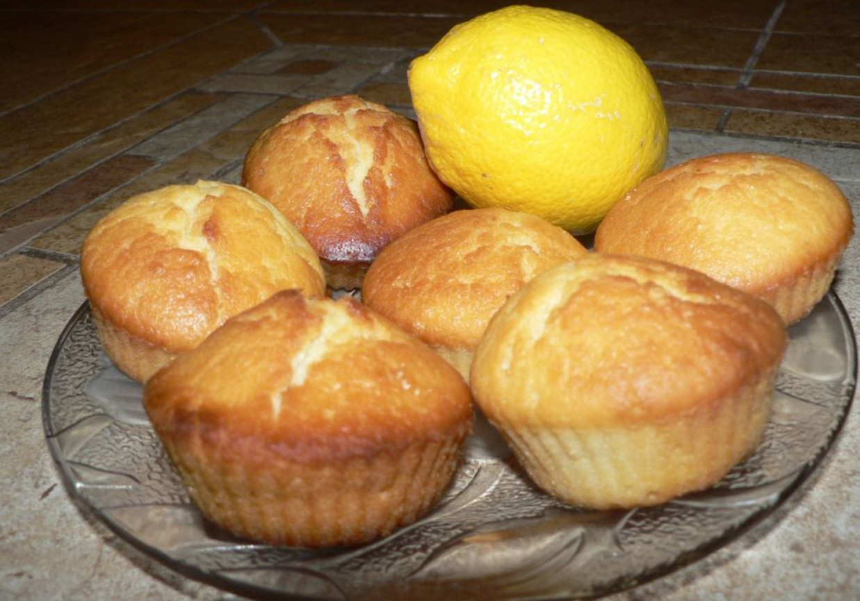 Muffinki cytrynowe foto
