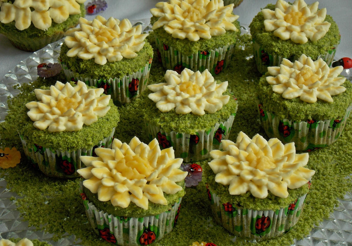 Muffinki Kwiatki na łące  foto