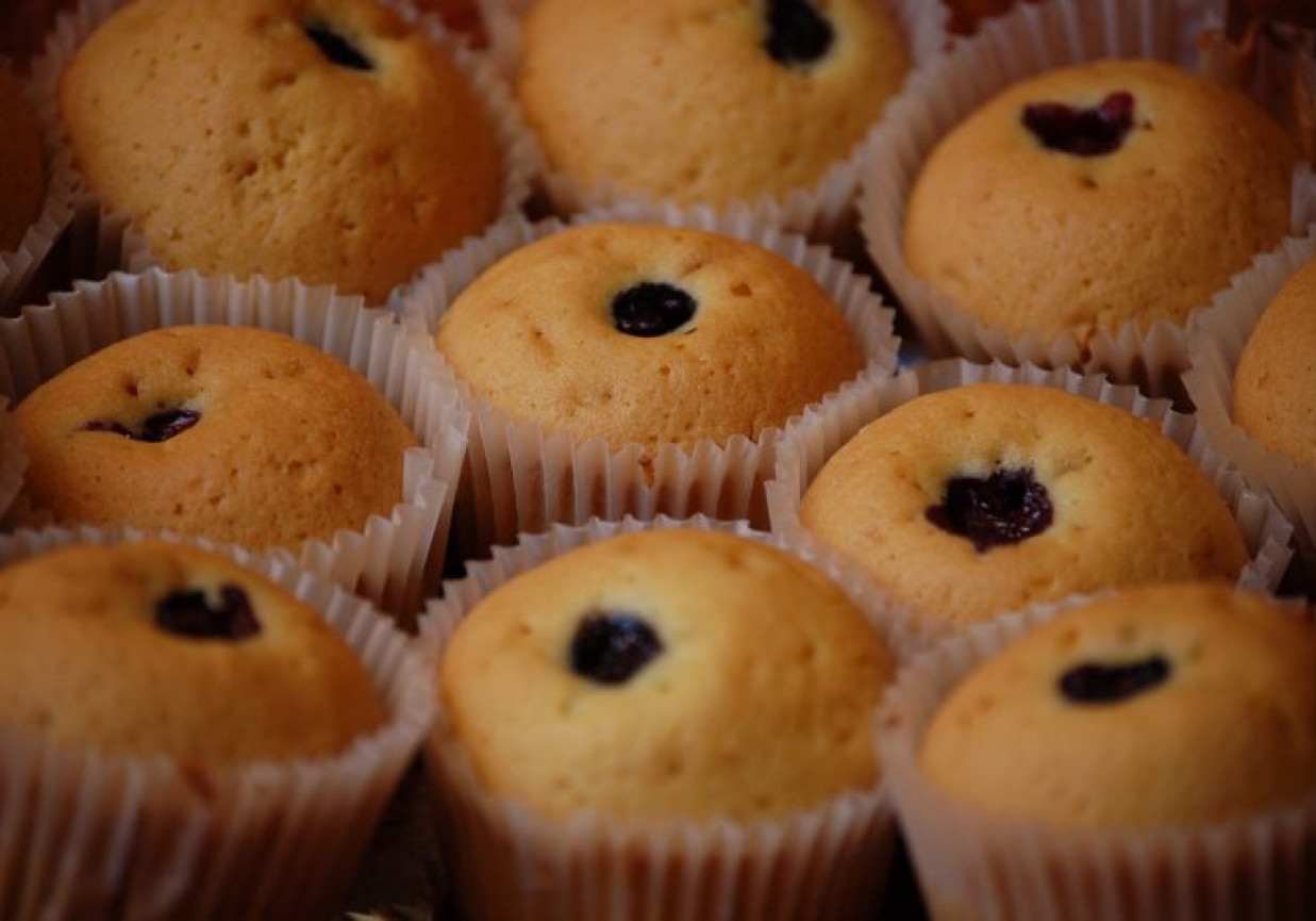 Muffinki z borówką amerykańską foto