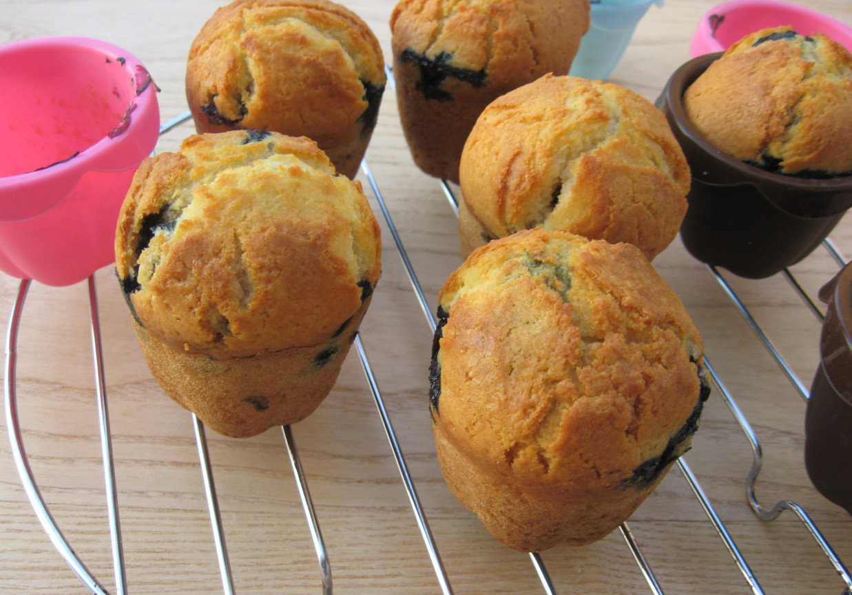 Muffinki z borówką amerykańską foto