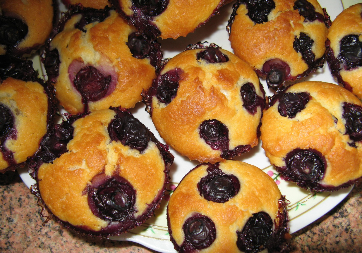 Muffinki z borówkami foto