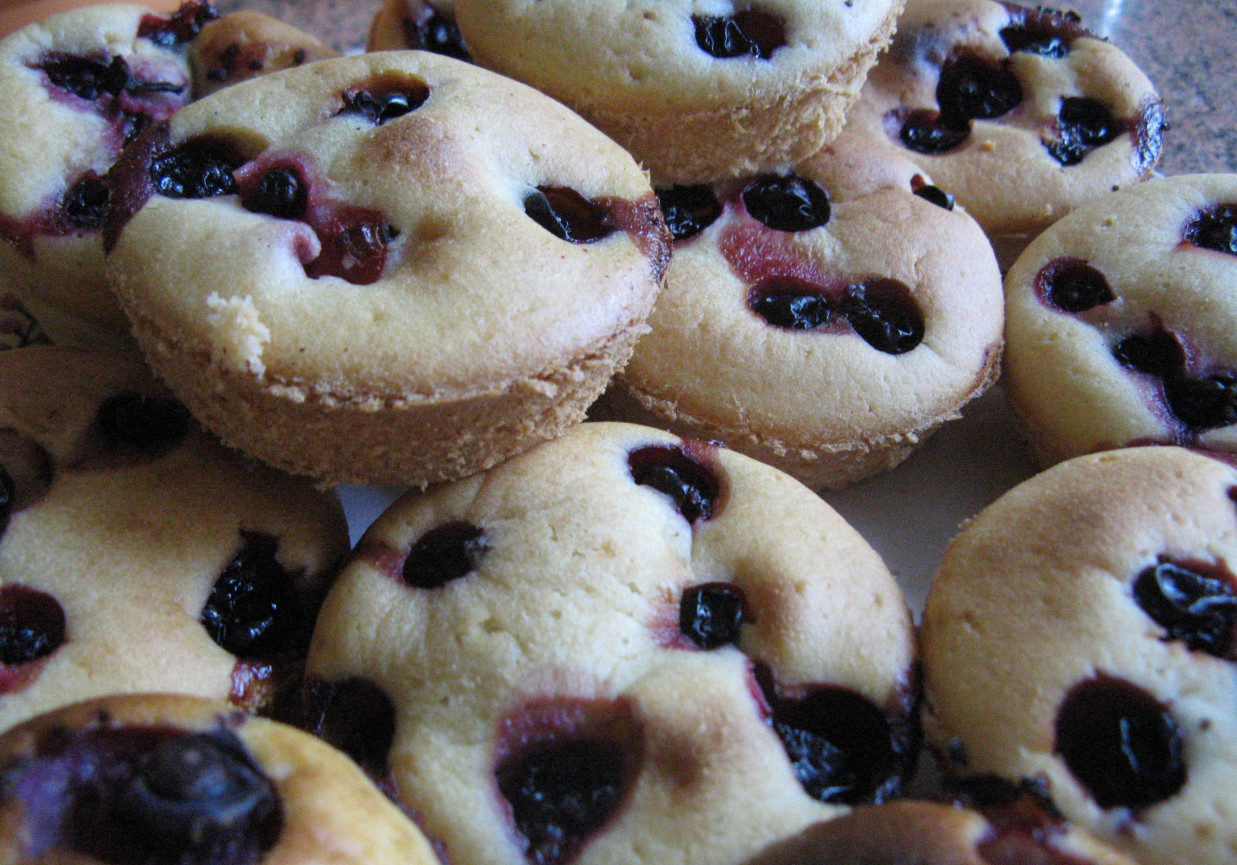 Muffinki z czarną porzeczką foto