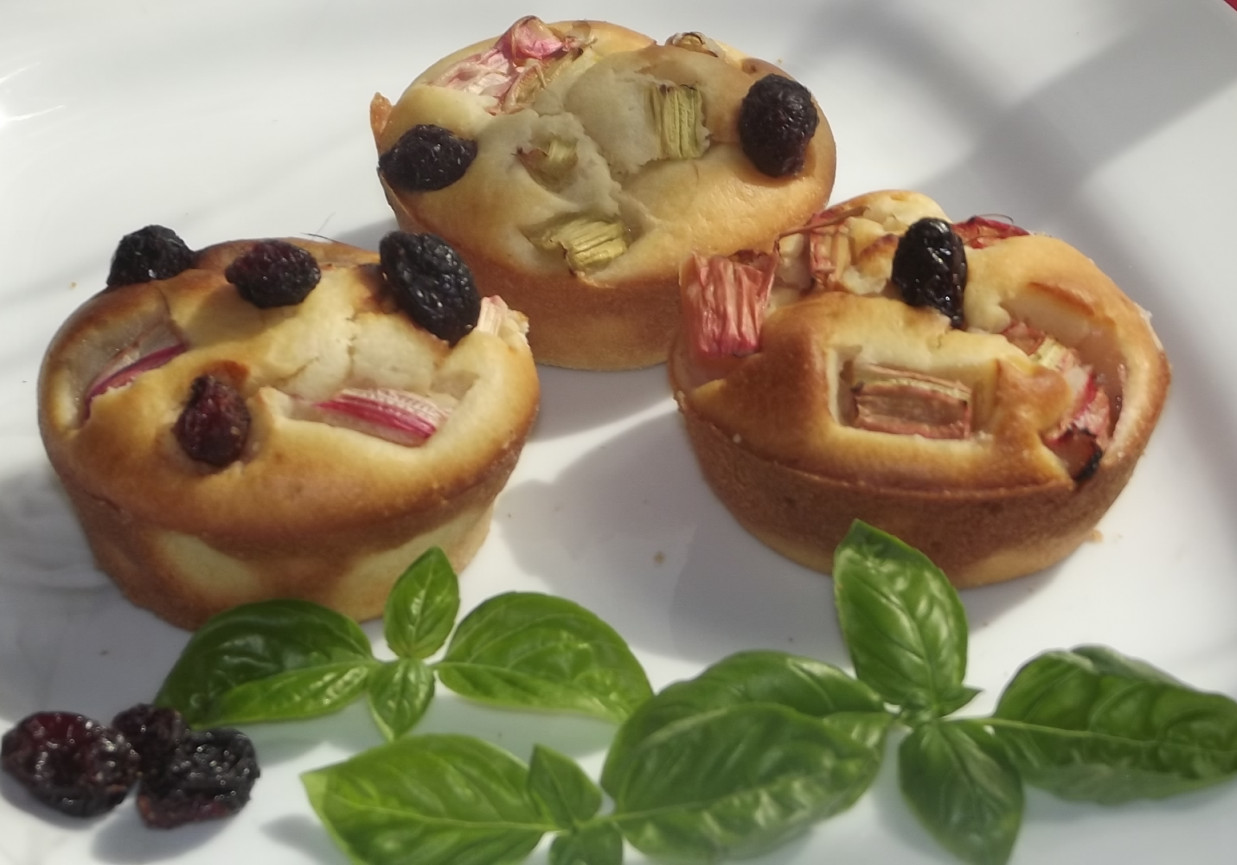 Muffinki z rabarbarem i żurawiną . foto