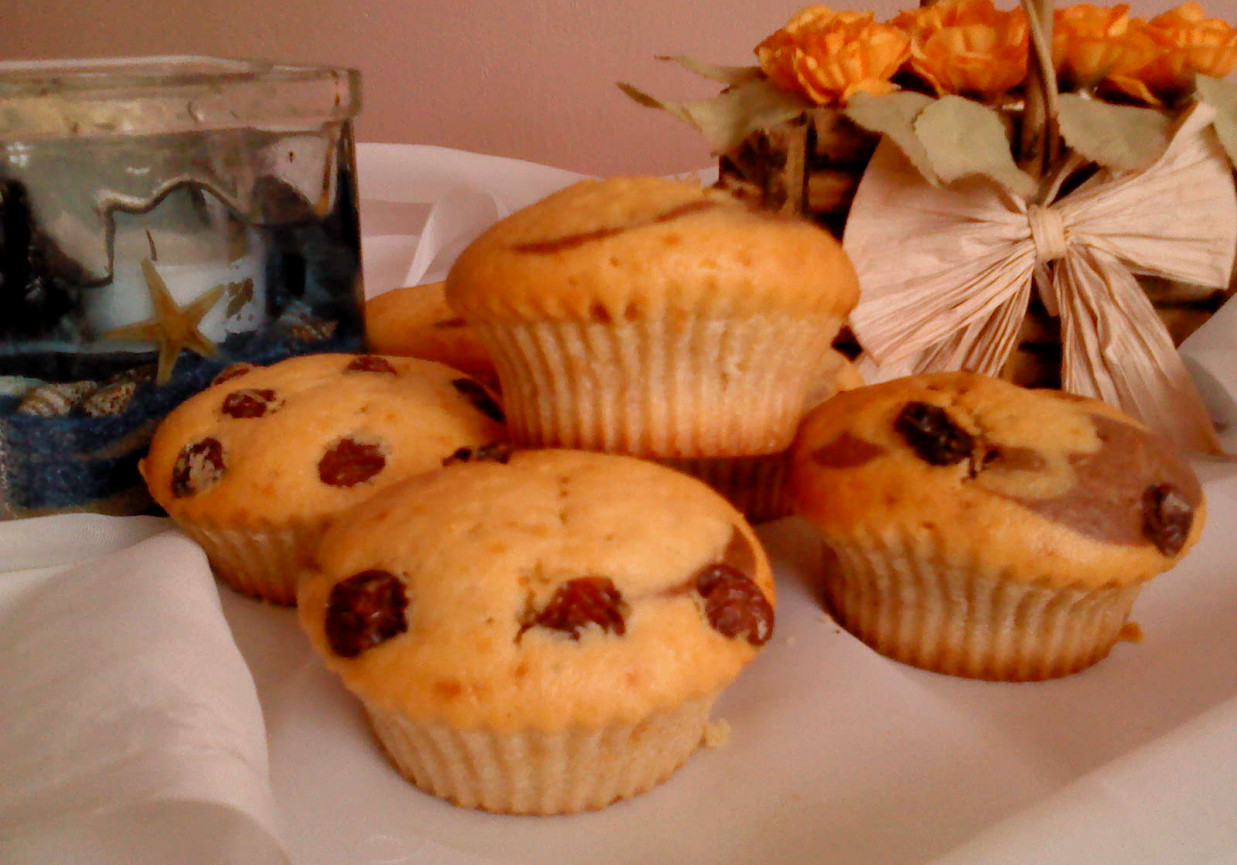 Muffinki z rodzynkami i kakao foto