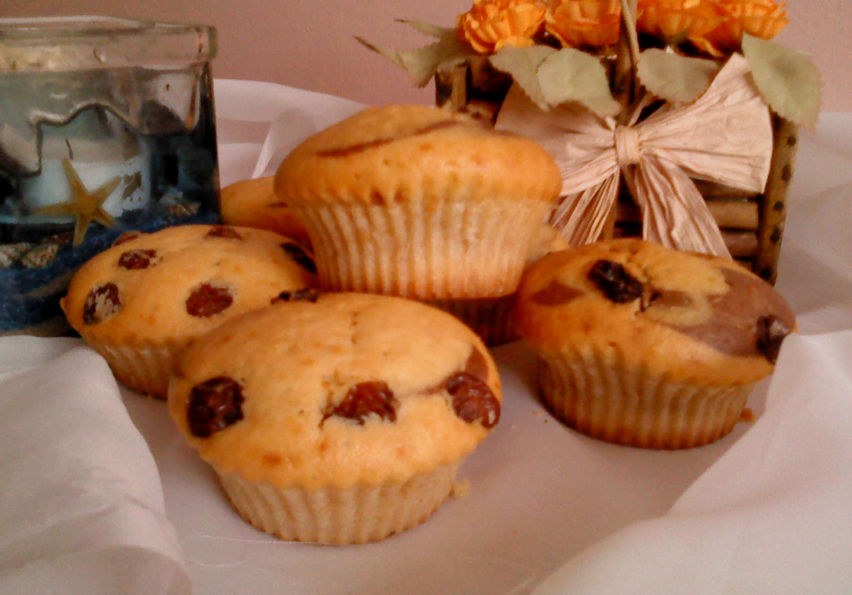 Muffinki z rodzynkami i kakao foto