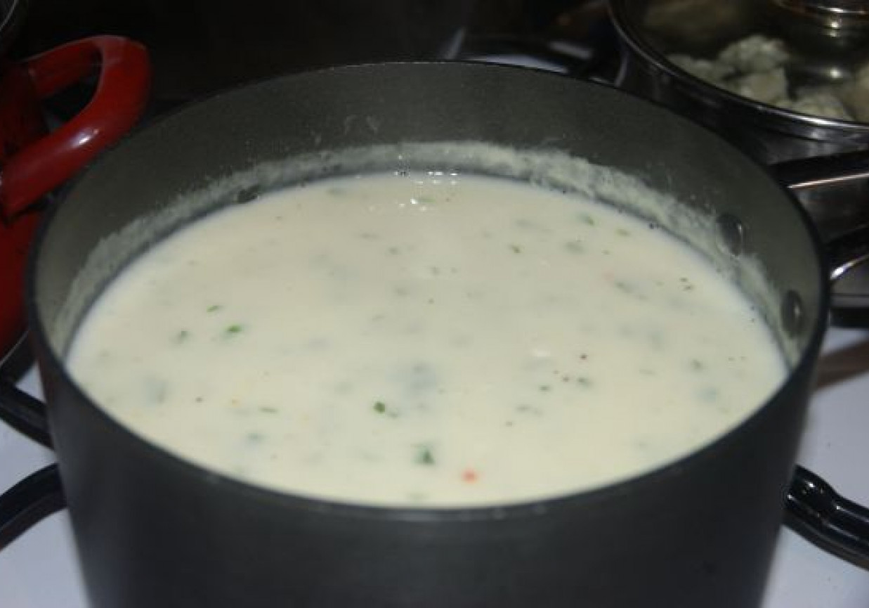 Najprostsza zupa serowa foto