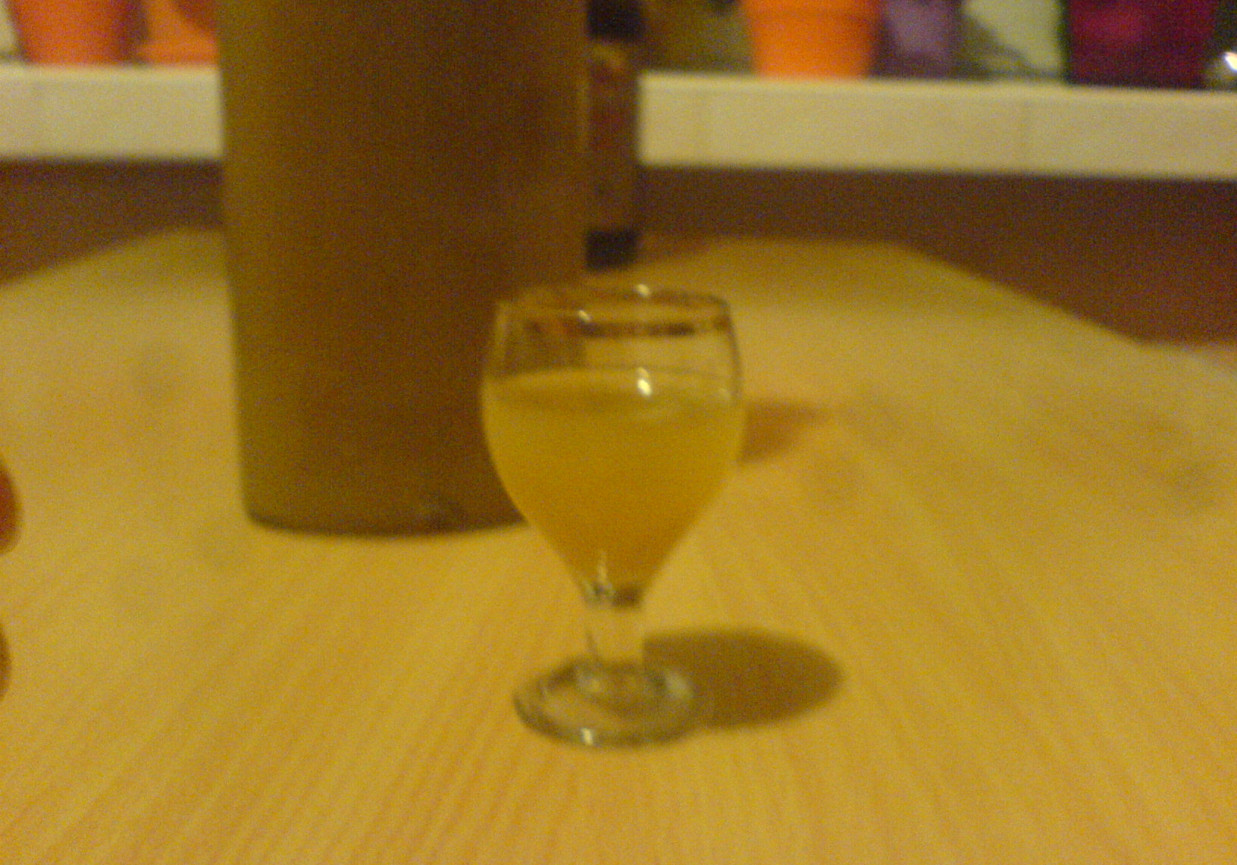 Nalewka miętowo-jablkowa foto