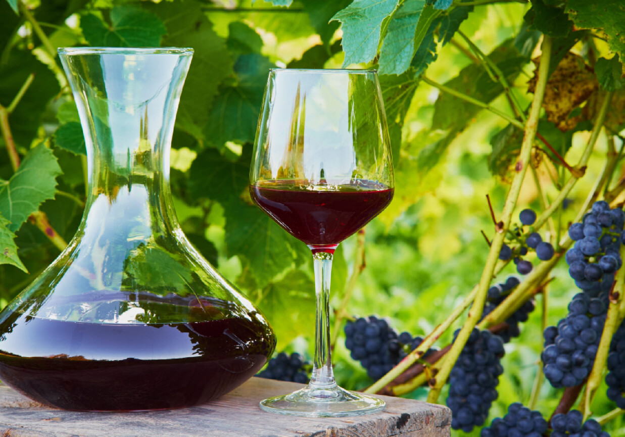 Nalewka z ciemnych winogron foto