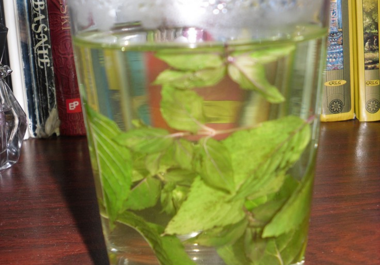 Naturalna herbata miętowa foto