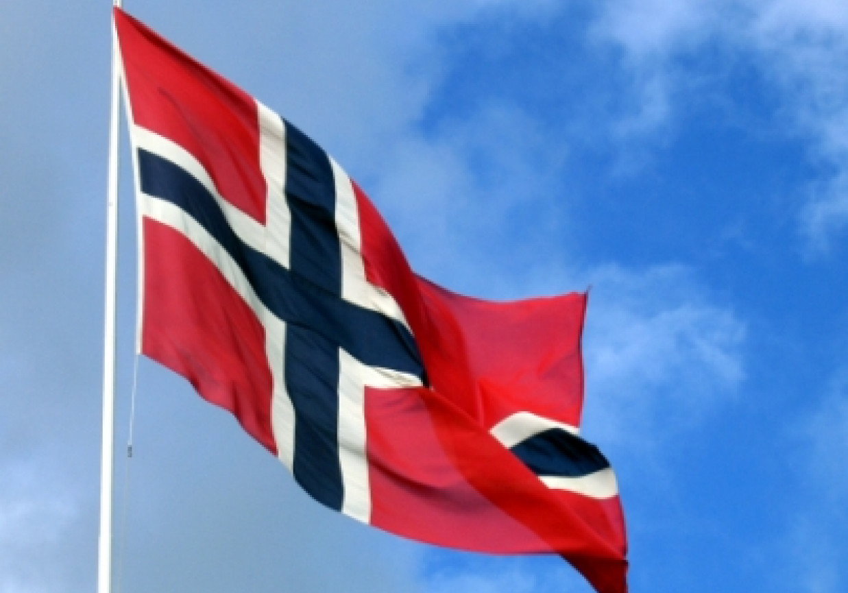 Norwegia - a może renifera?