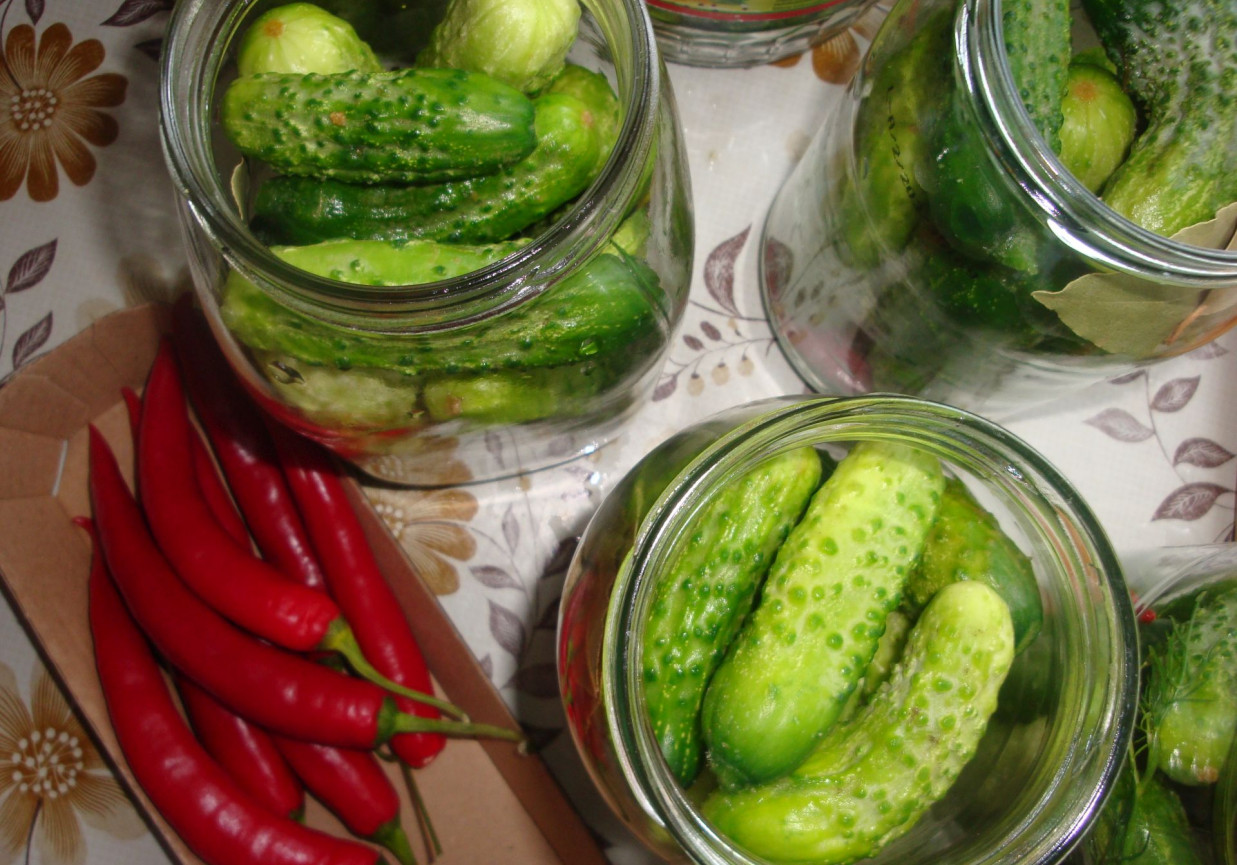 Ogórki kiszone z papryką chili foto
