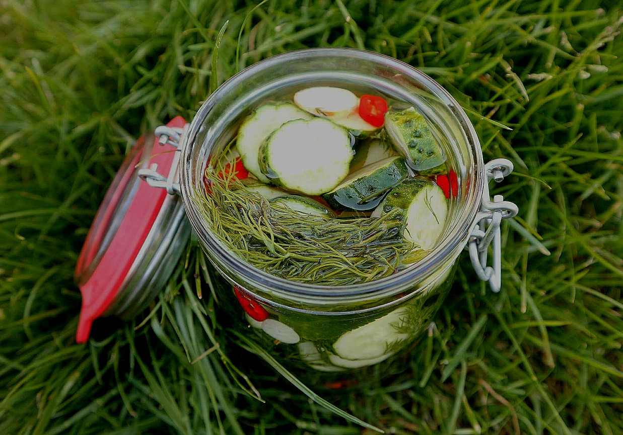 Ogórki małosolne z chilli i miodem foto