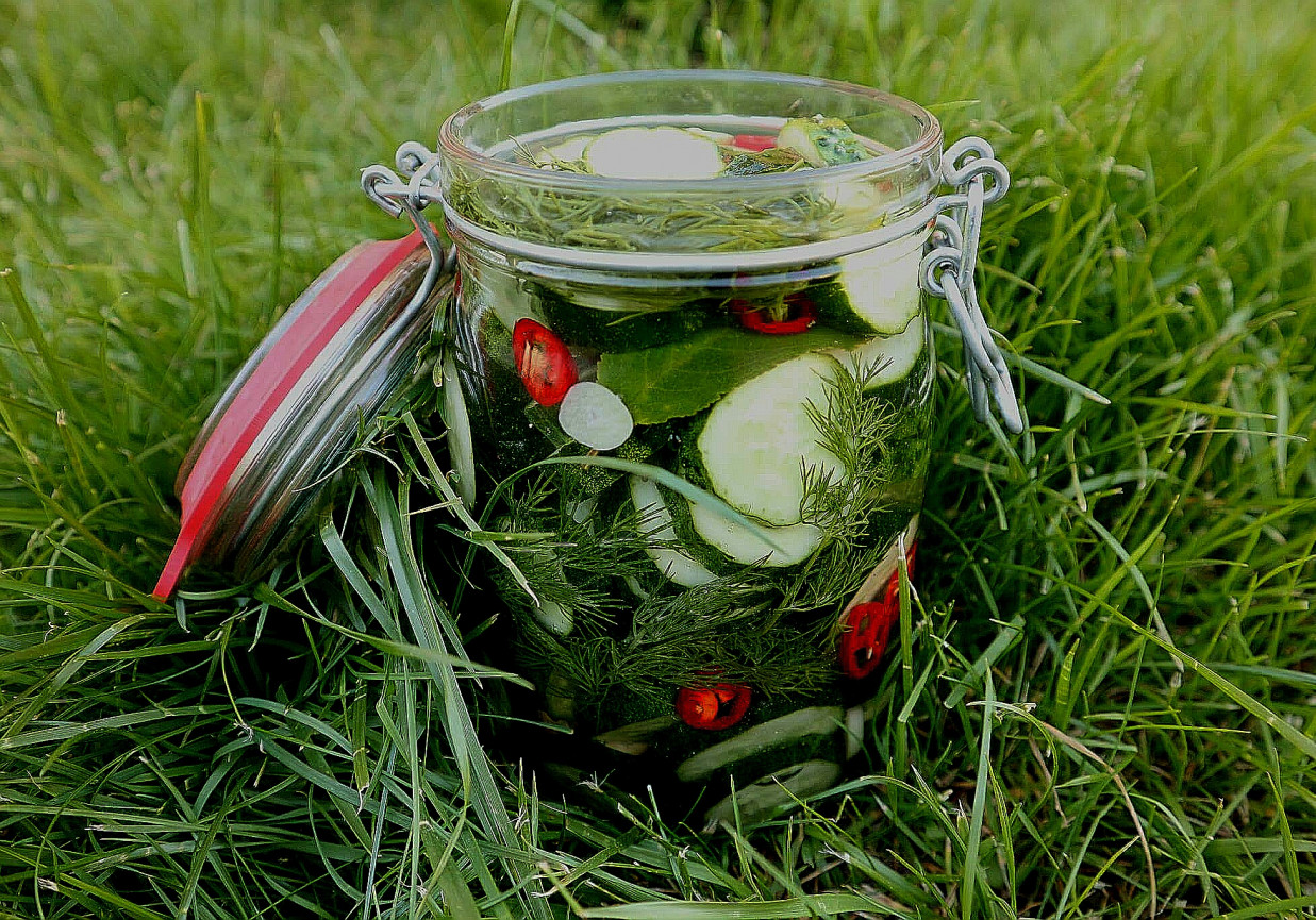 Ogórki małosolne z chilli i miodem foto