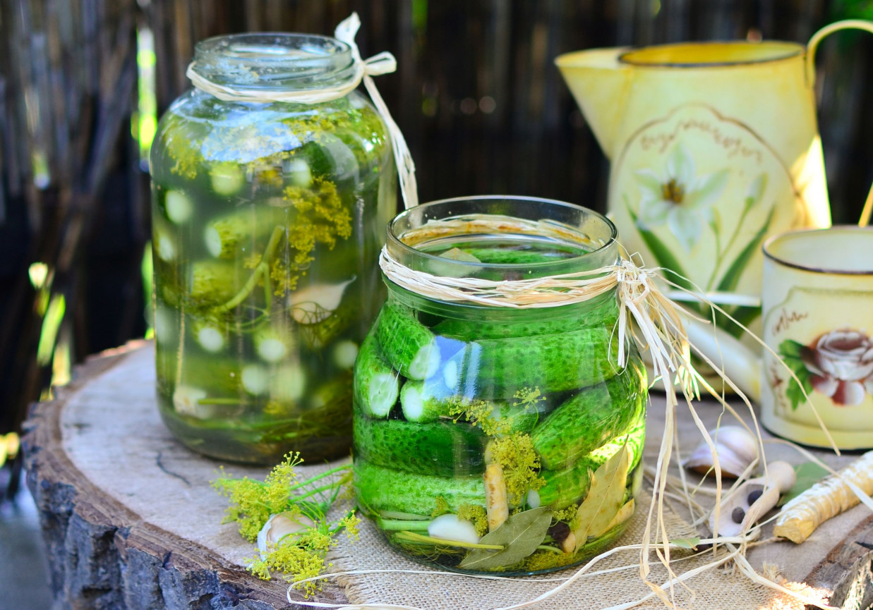 Ogórki małosolne foto