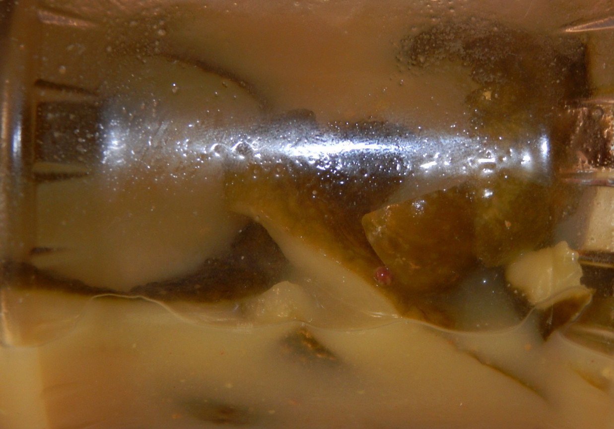Ogórki w zalewie musztardowej z curry foto