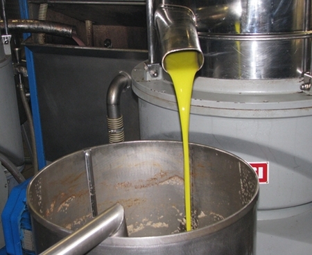 Oliwa z oliwek-eliksir młodości