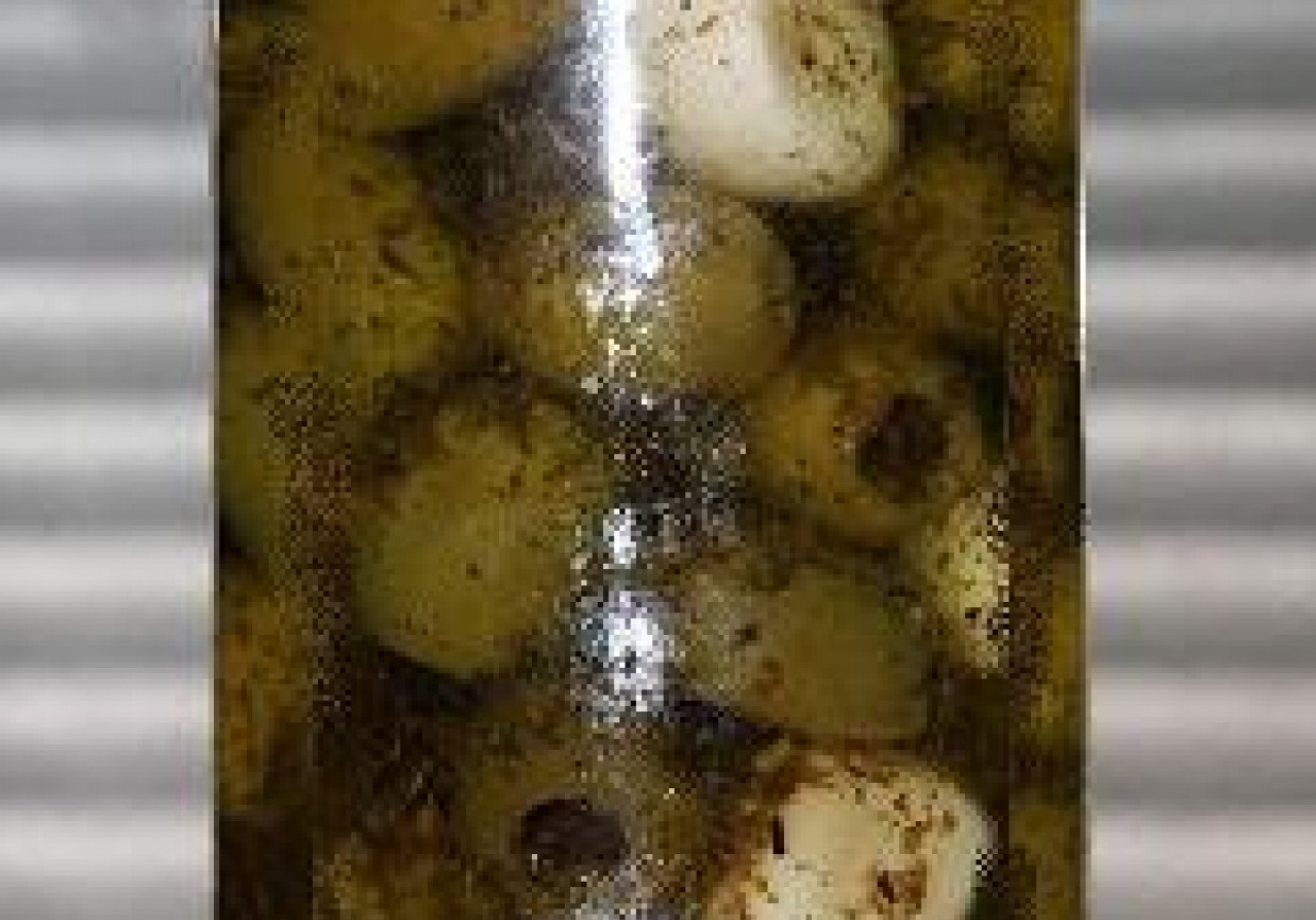 Oliwki w oliwie czosnkowo-ziołowej foto
