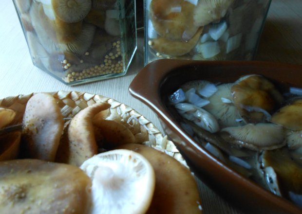 Fotografia przedstawiająca Opieńki marynowane z cebulą i gorczycą